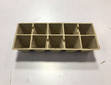 Seedling Tray