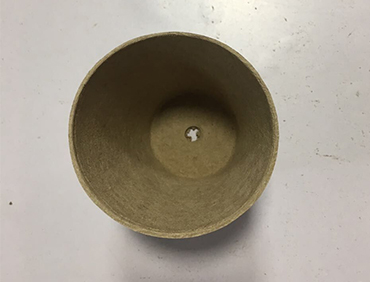 Seedling Tray